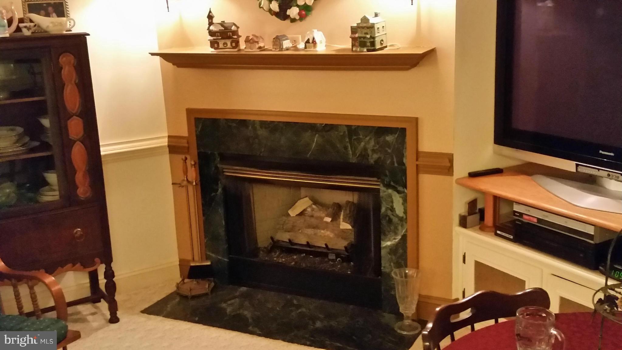 7163 Stuart Road King George, VA 22485 - Photo 26 of 27 Basement Corner Gas Fireplace