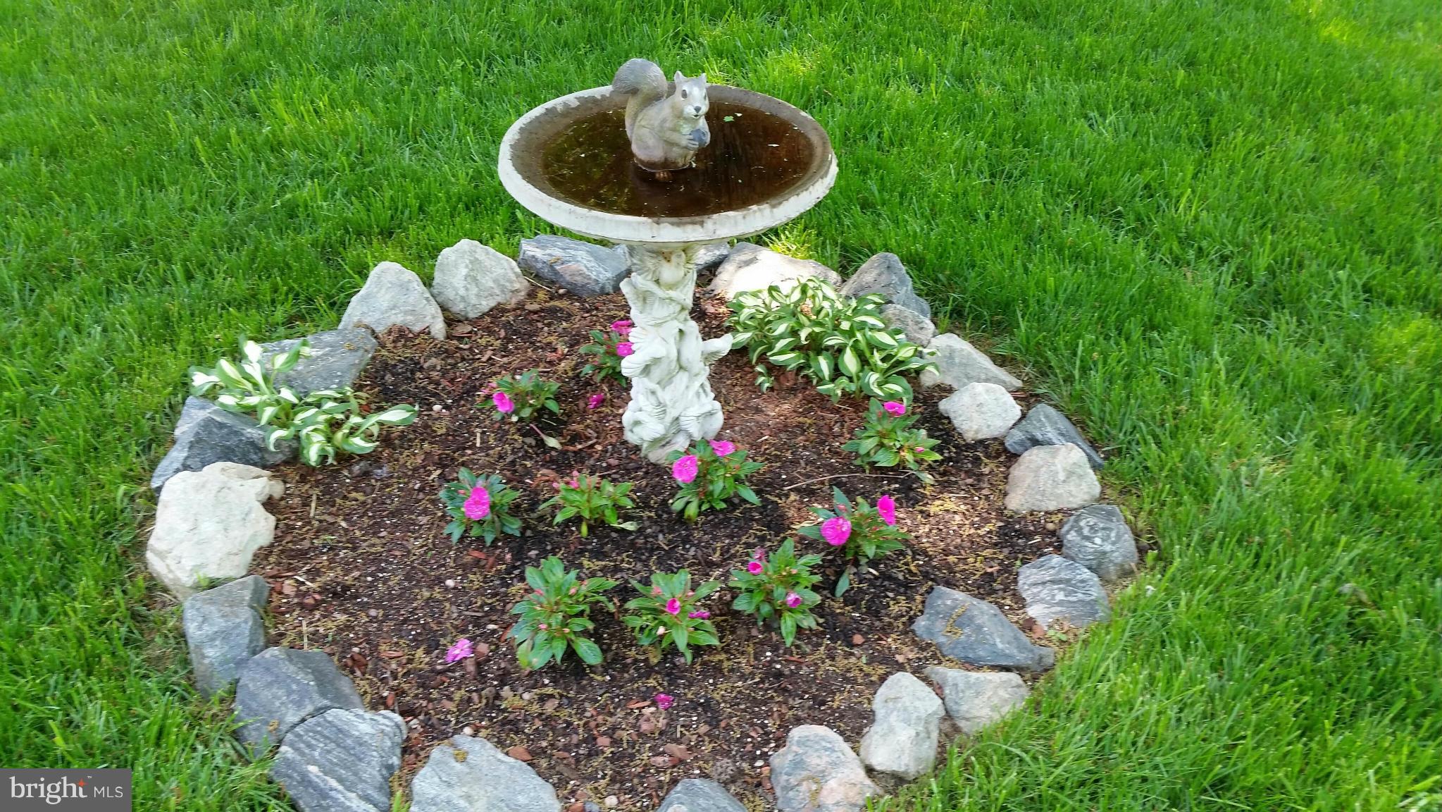 7163 Stuart Road King George, VA 22485 - Photo 10 of 27 Bird Bath is for the Squirrel