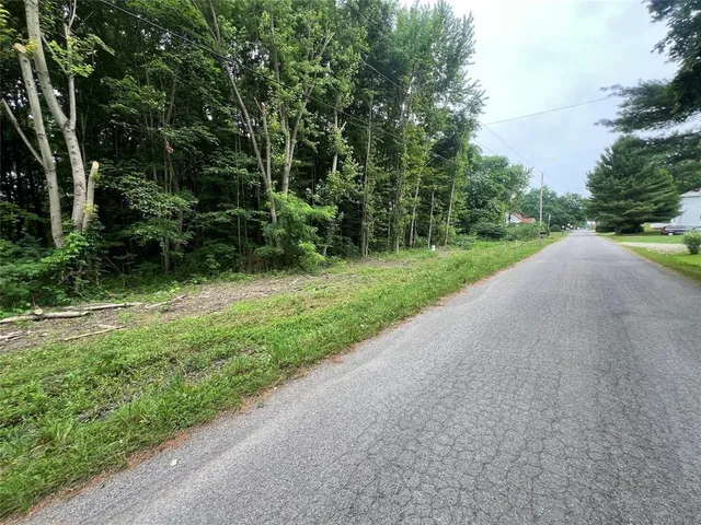 a view of a big yard with plants and large trees