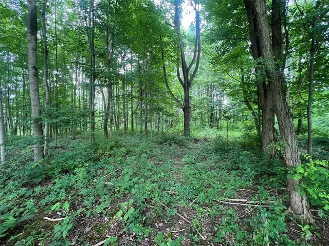 a view of outdoor space and green space