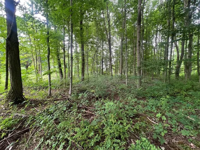 a view of outdoor space and green space