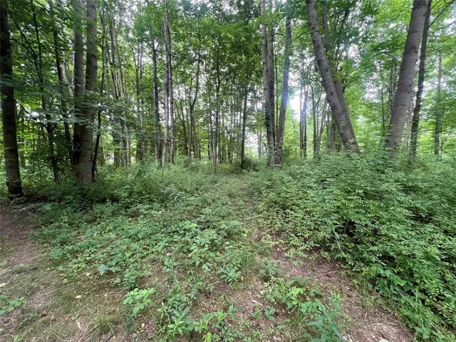 a view of outdoor space and green space