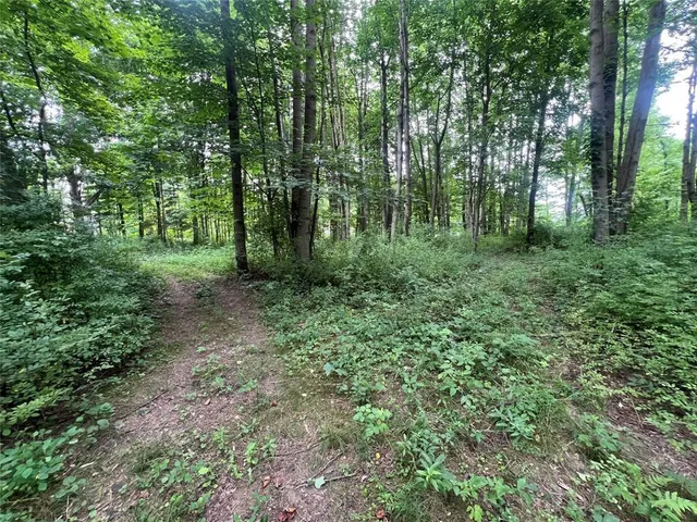 a view of outdoor space and green space
