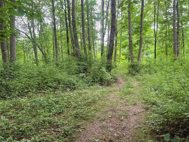 a backyard of a house with lots of green space