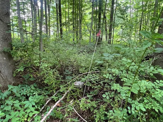 a view of a backyard of a house with a fountain