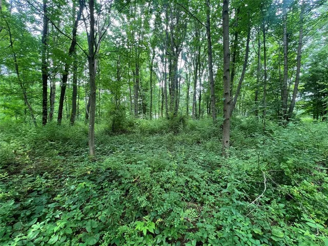 $46,900 | 3-acres On 3 /- Acres On Phelps Road, Linesville, PA 16424