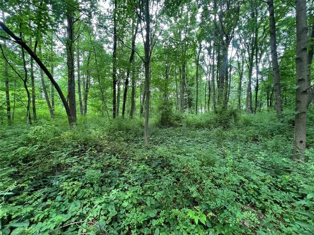 $46,900 | 3-acres On 3 /- Acres On Phelps Road, Linesville, PA 16424