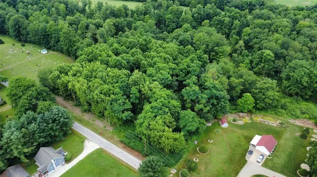 an aerial view of residential houses with outdoor space and trees