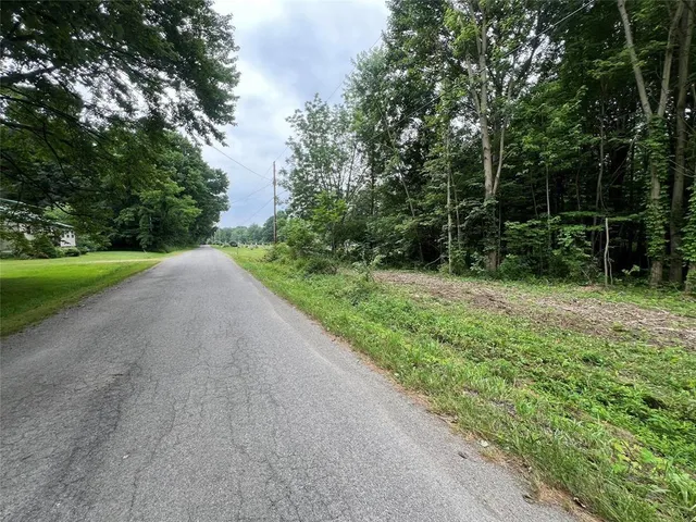a view of a street with a yard and large trees