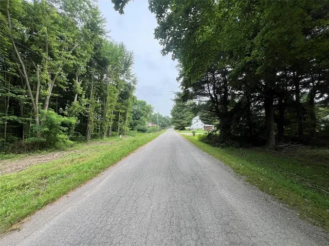 a view of a backyard with plants and large trees