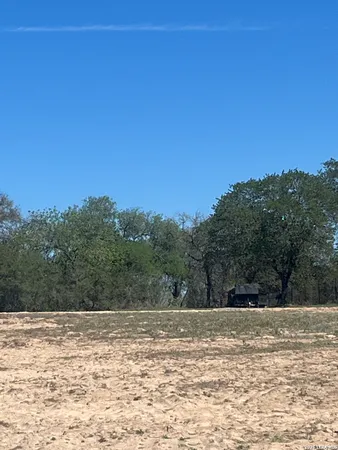 a view of a yard with trees