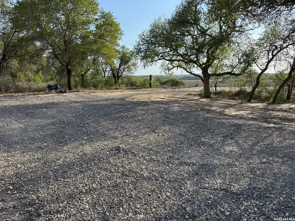 a view of dirt yard with a tree