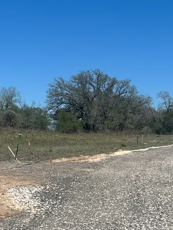 a view of a yard with a tree