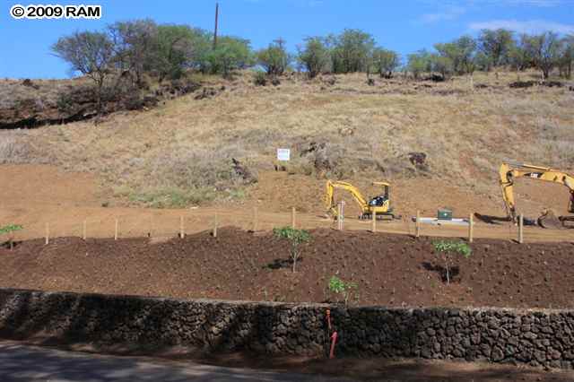 5077 Makena Road, Unit PAPA'ANUI LOT 7 Kihei, HI 96753 - Photo 10 of 22 a view of a dry yard with lots of trees