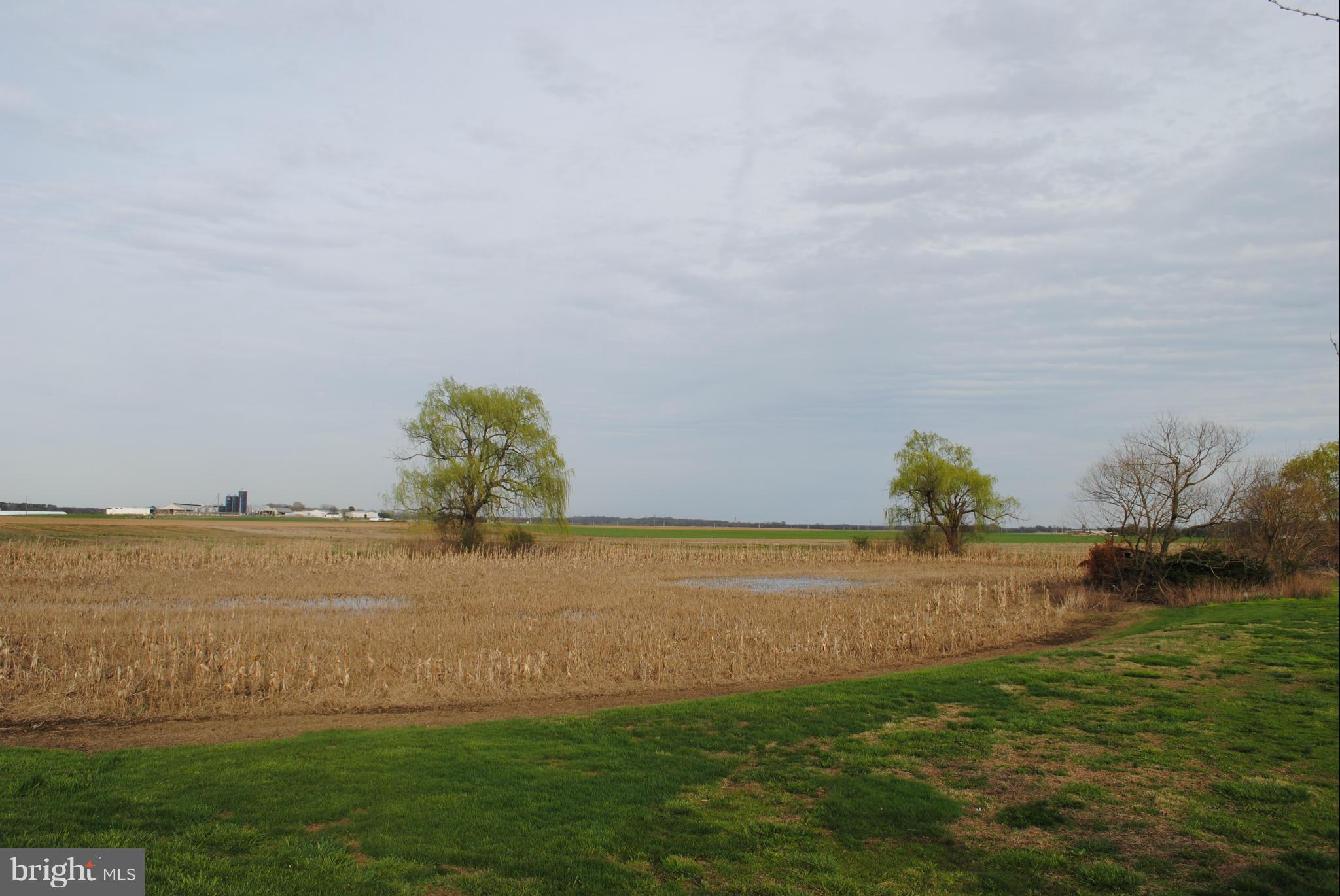 10095 Worton Road Chestertown, MD 21620 - Photo 13 of 15 View