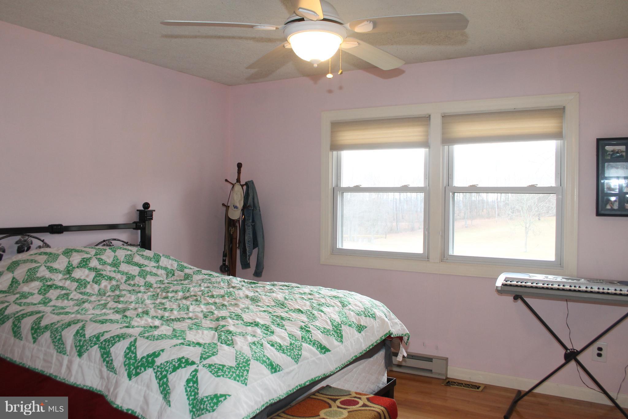 64 Castle Mountain Road Castleton, VA 22716 - Photo 21 of 29 Bedroom, wood floor and ceiling fan