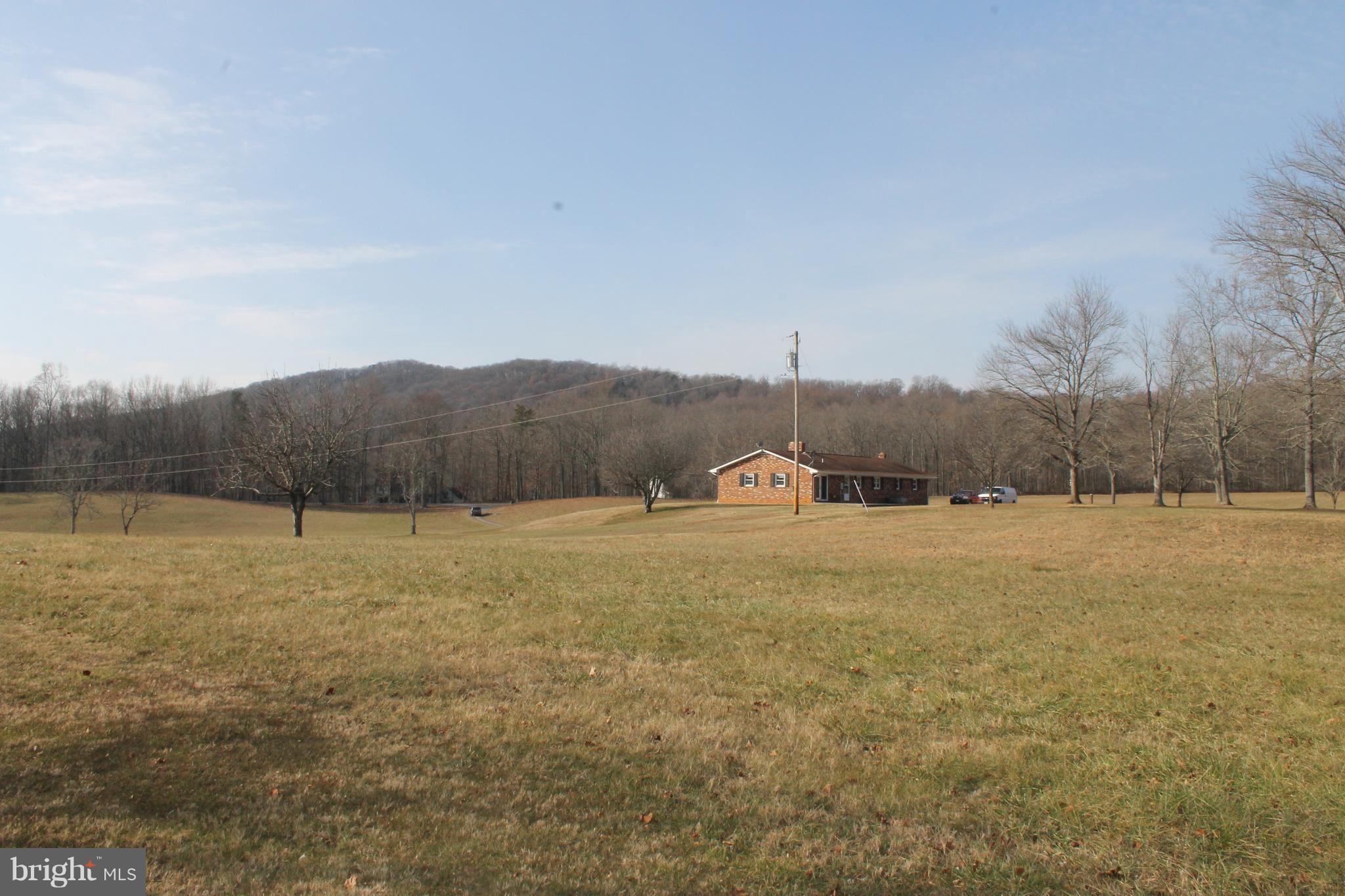 64 Castle Mountain Road Castleton, VA 22716 - Photo 4 of 29 View from rear of property