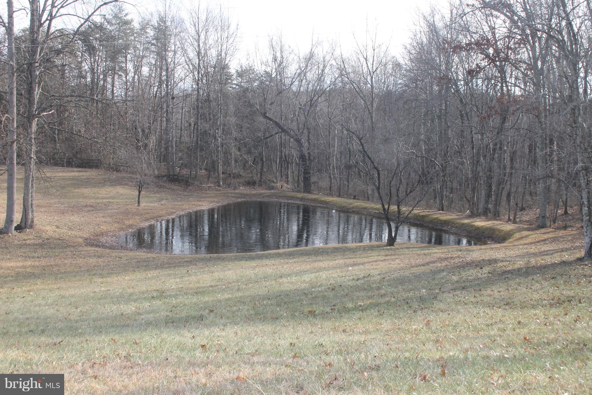 64 Castle Mountain Road Castleton, VA 22716 - Photo 8 of 29 Pond