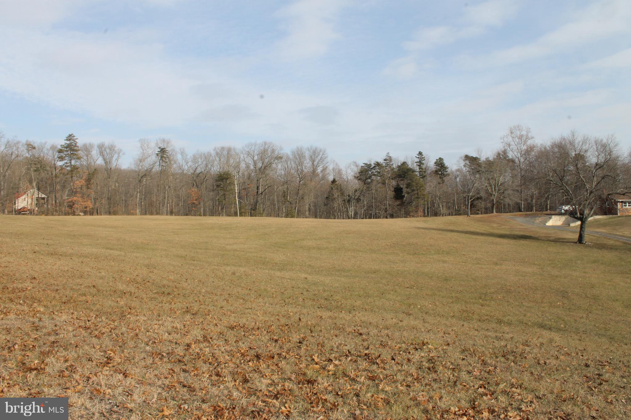 64 Castle Mountain Road Castleton, VA 22716 - Photo 9 of 29 Left field