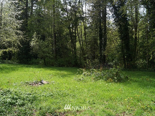 12912 Wallace Road Southeast Olalla, WA 98359 - Photo 3 of 25 Gallery Image 3