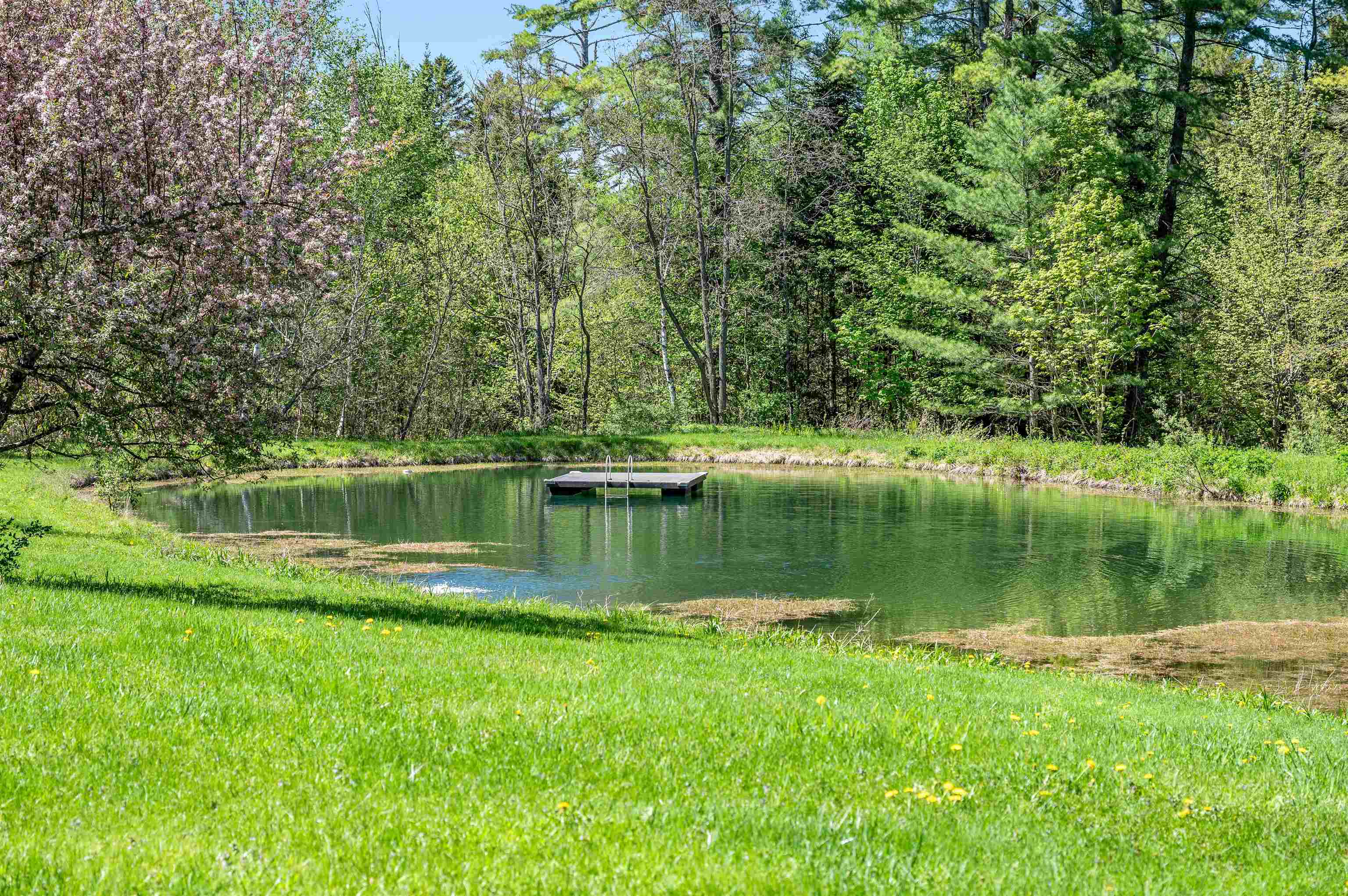 87 Bailey Pond Road Marshfield, VT 05658 - Photo 44 of 57