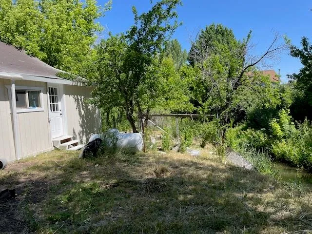 a view of a yard in front of house