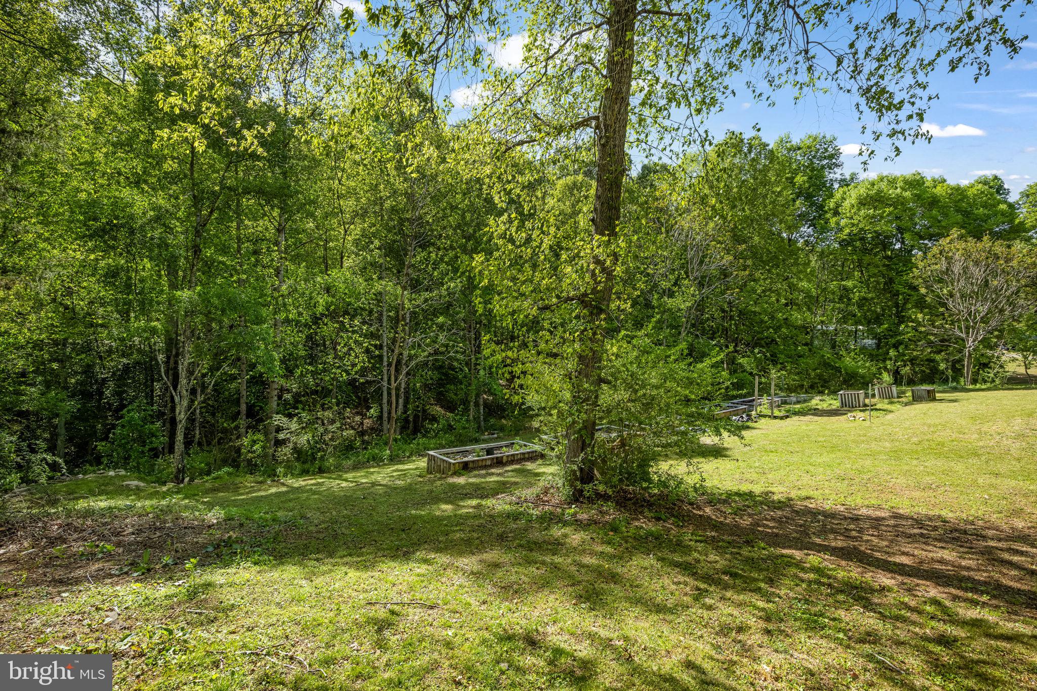 7310 Macedonia Road Woodford, VA 22580 - Photo 15 of 19 Backyard with raised garden beds