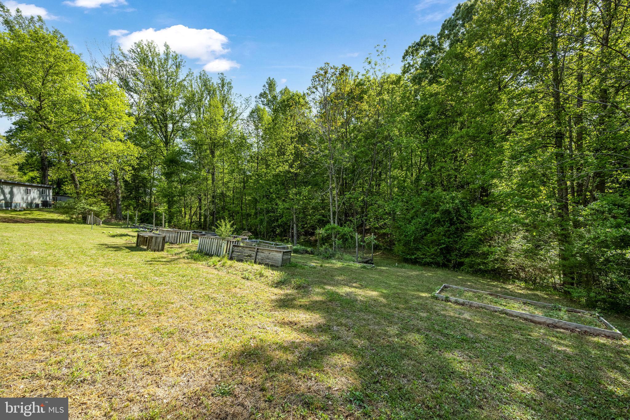 7310 Macedonia Road Woodford, VA 22580 - Photo 16 of 19 Backyard backing to trees
