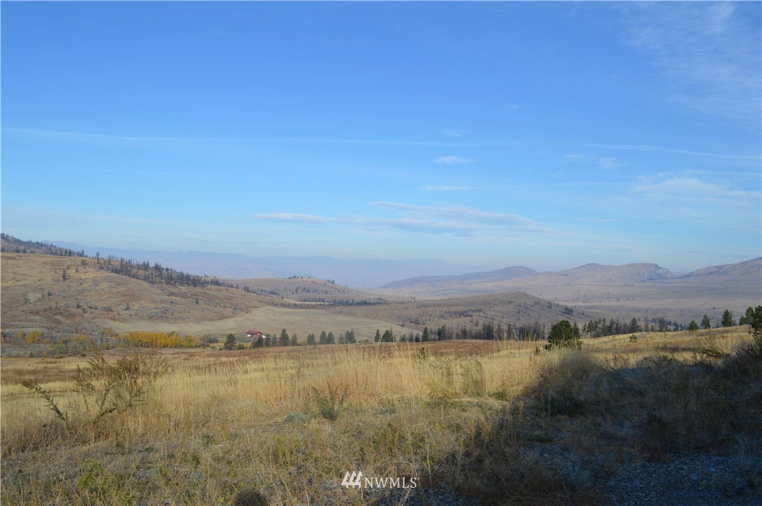 24 Bronco Lane Riverside, WA 98849 - Photo 18 of 22 Gallery Image 18