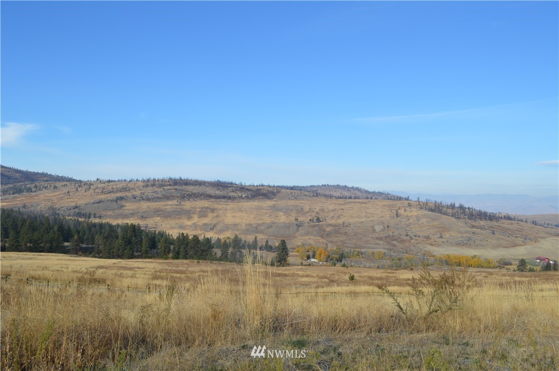 24 Bronco Lane Riverside, WA 98849 - Photo 19 of 22 Gallery Image 19