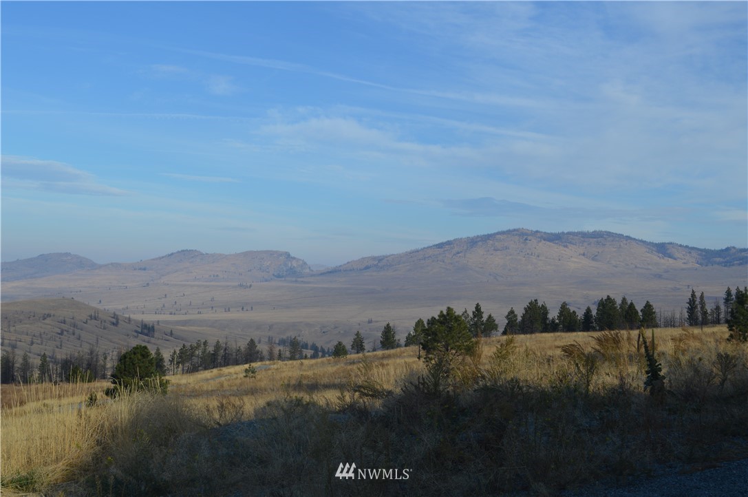 24 Bronco Lane Riverside, WA 98849 - Photo 21 of 22 Gallery Image 21