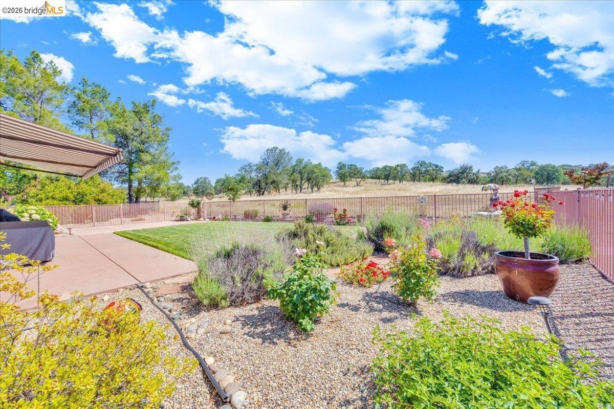 158 Rock Ridge Lane Copperopolis, CA 95228 - Photo 55 of 72 Expansive outdoor living area featuring a concrete patio, a retractable awning, and a manicured lawn