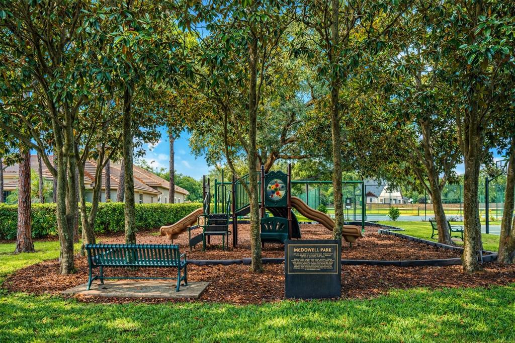 10914 Emerald Chase Drive Orlando, FL 32836 - Photo 63 of 66