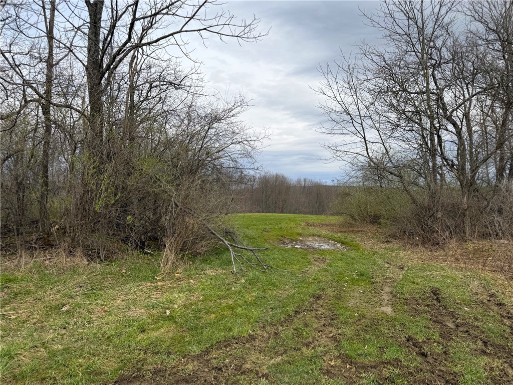 Lot 7 Summit Road Cuba, NY 14727 - Photo 20 of 31