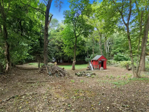 a view of a park with a tree