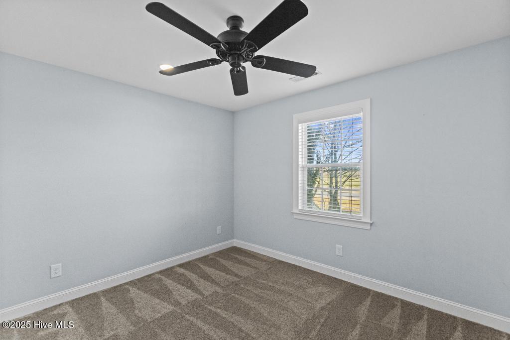 4161 Middle Road Trenton, NC 28585 - Photo 39 of 56 425A7479