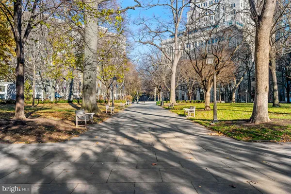 a view of a park with large trees