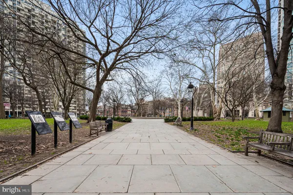 a row of palm trees in a yard with large trees