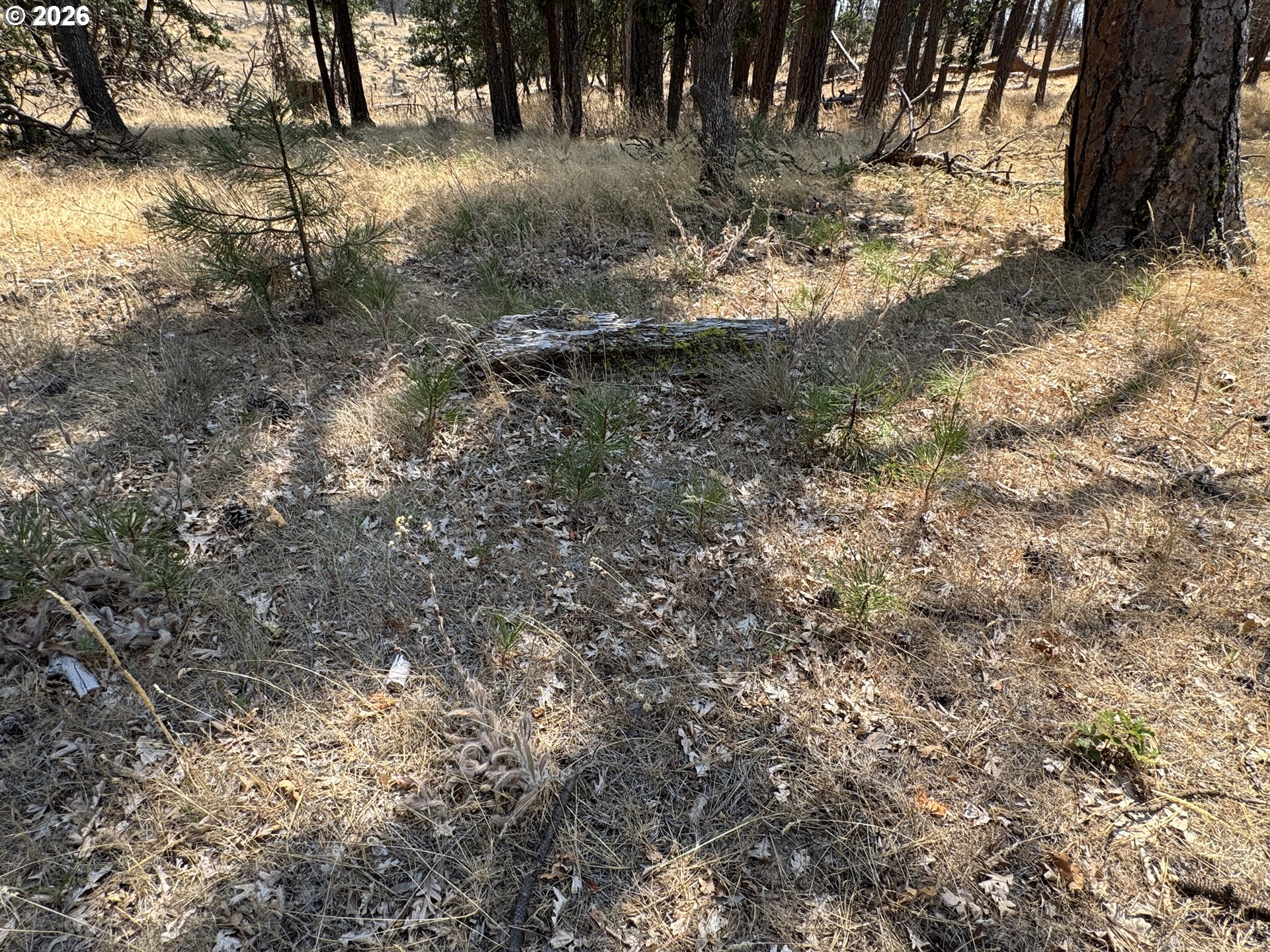 50 Wildhorse Ranch Road Goldendale, WA 98620 - Photo 15 of 39 Gallery Image 15