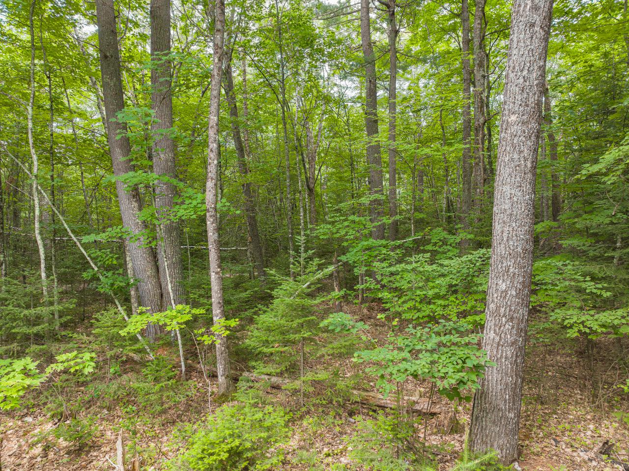 2850 Francisco Road Eagle River, WI 54521 - Photo 30 of 48 Gallery Image 30