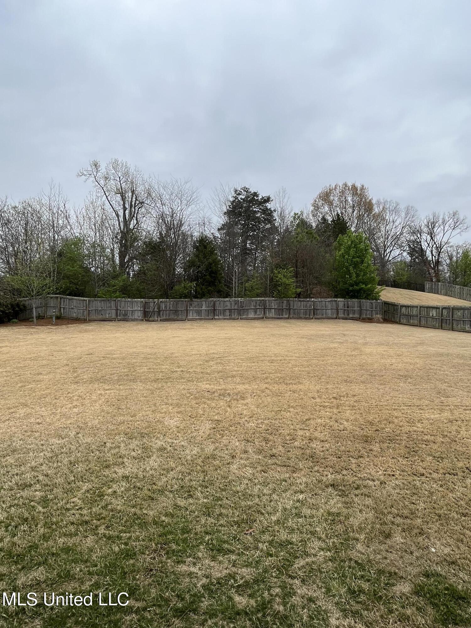 854 Shadow View Drive Hernando, MS 38632 - Photo 23 of 25 IMG_4320