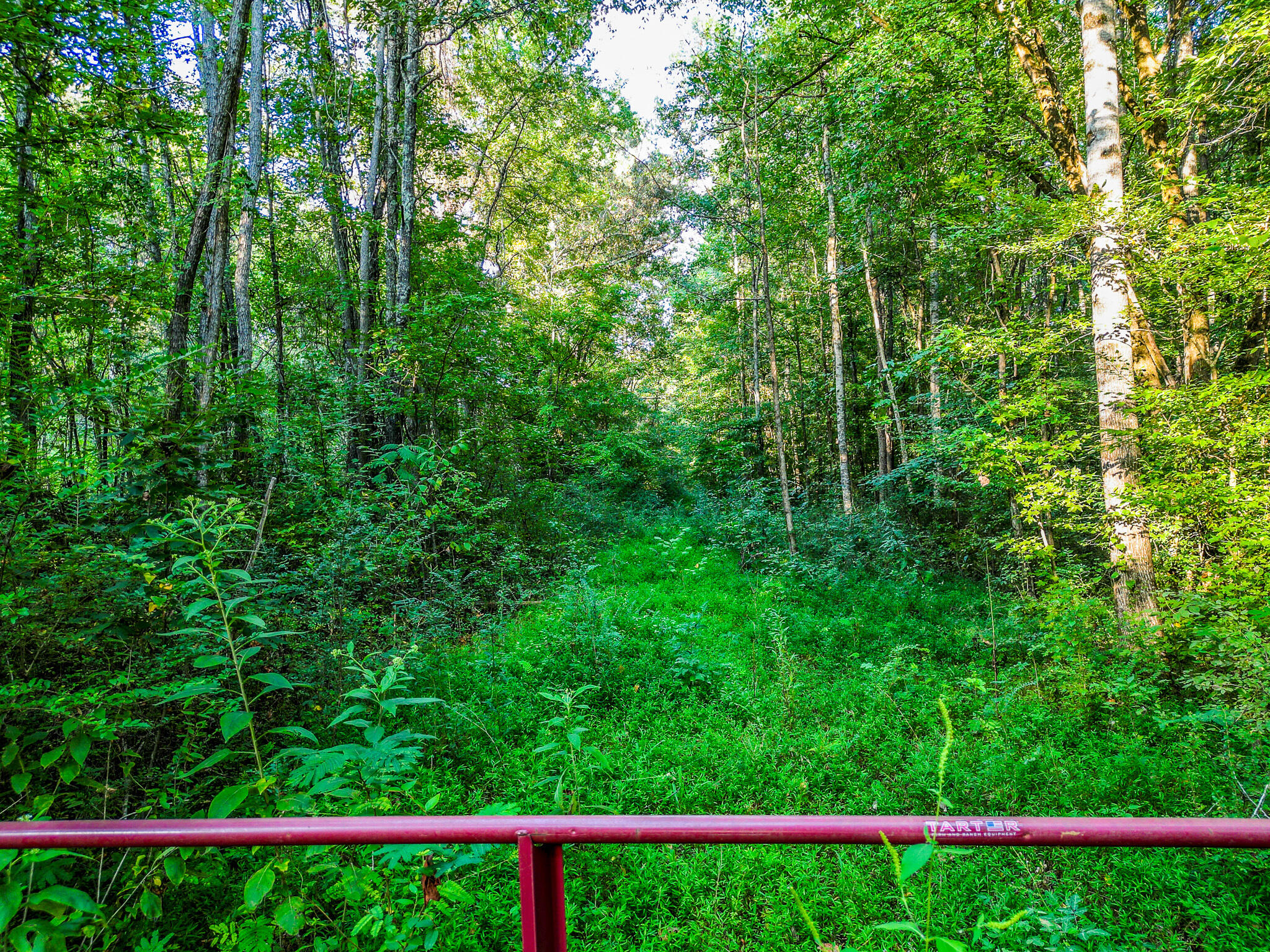 1320 Jones Crossing Road Whitwell, TN 37397 - Photo 43 of 50 DJI_0328-HDR