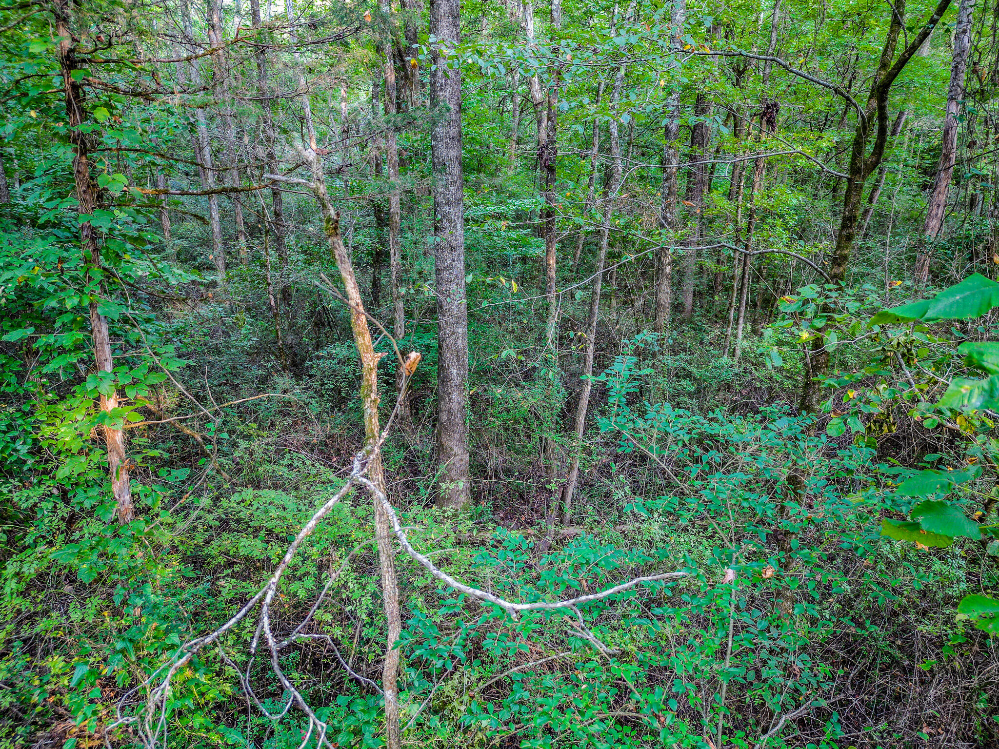 1320 Jones Crossing Road Whitwell, TN 37397 - Photo 44 of 50 DJI_0331-HDR