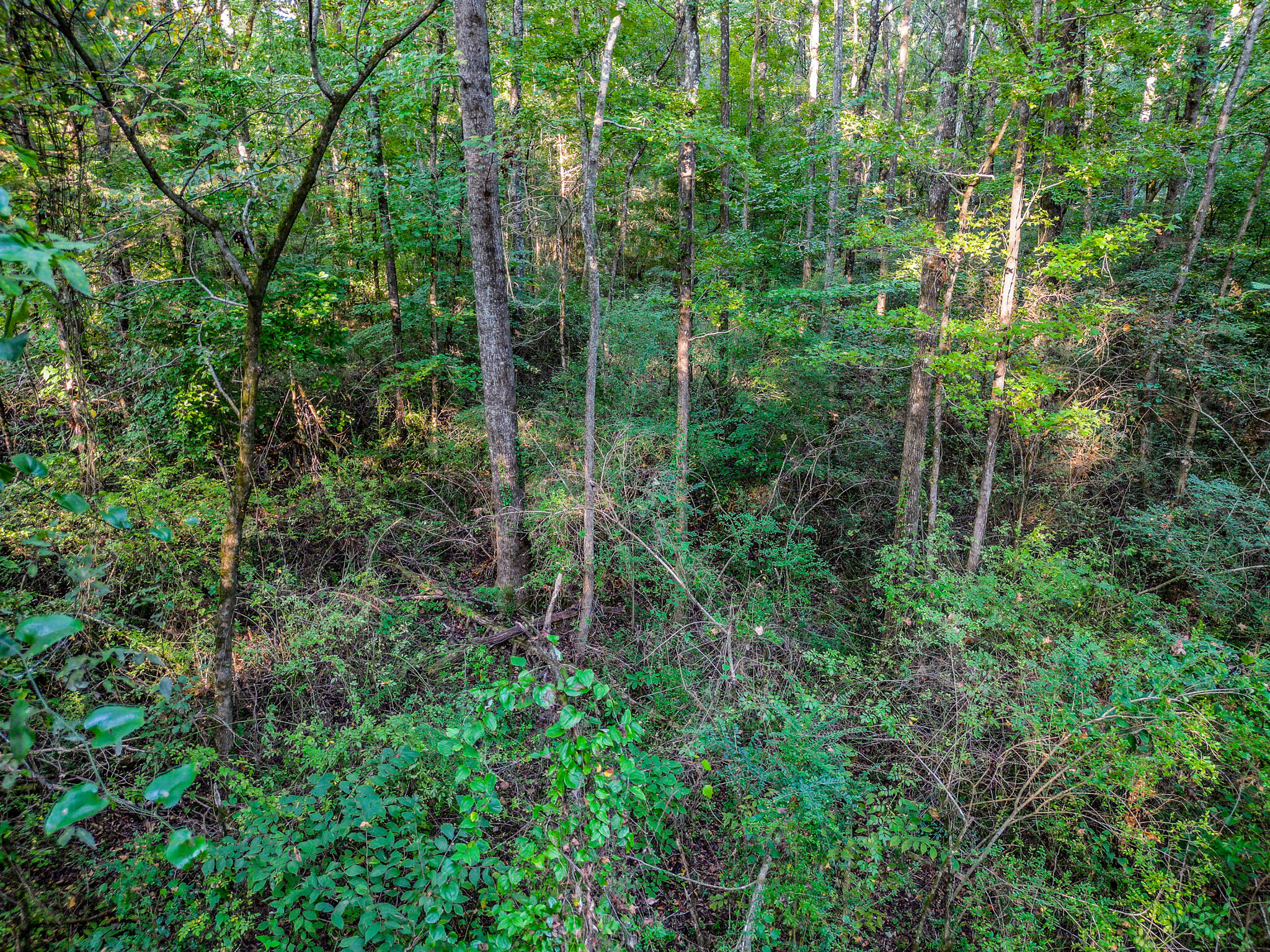 1320 Jones Crossing Road Whitwell, TN 37397 - Photo 45 of 50 DJI_0334-HDR