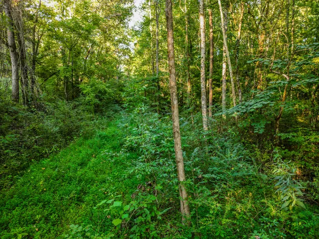 $620,000 | 1320 Jones Crossing Road, Whitwell, TN 37397