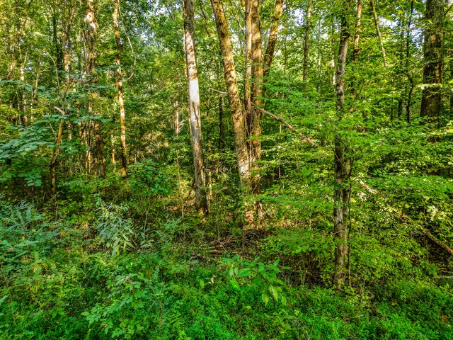 $620,000 | 1320 Jones Crossing Road, Whitwell, TN 37397