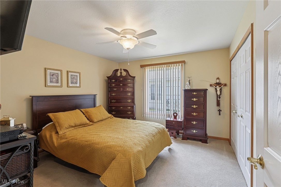 6894 Paradise Way North Ridgeville, OH 44039 - Photo 24 of 36 Primary bedroom with large closet.