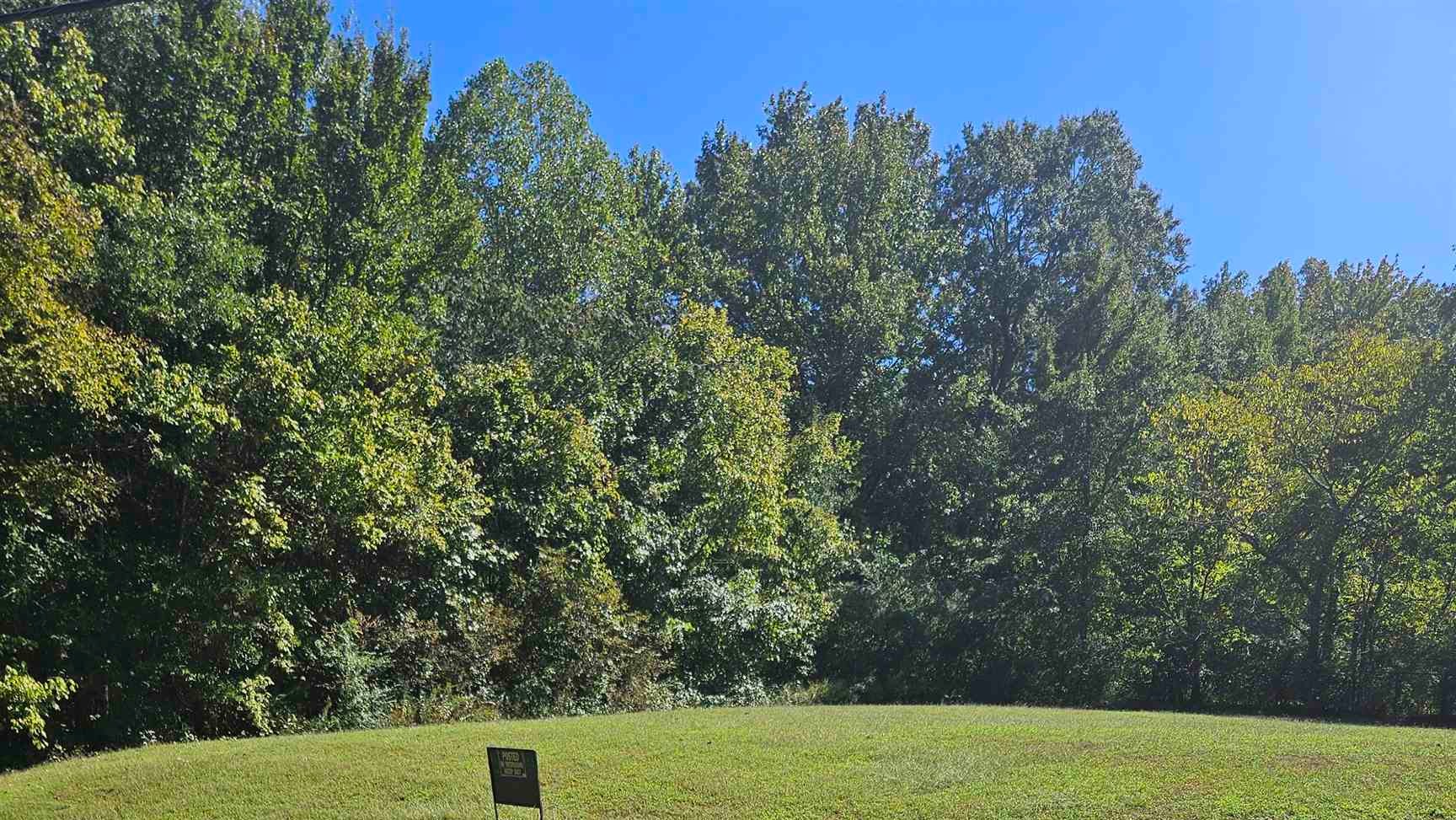 a view of a with a yard