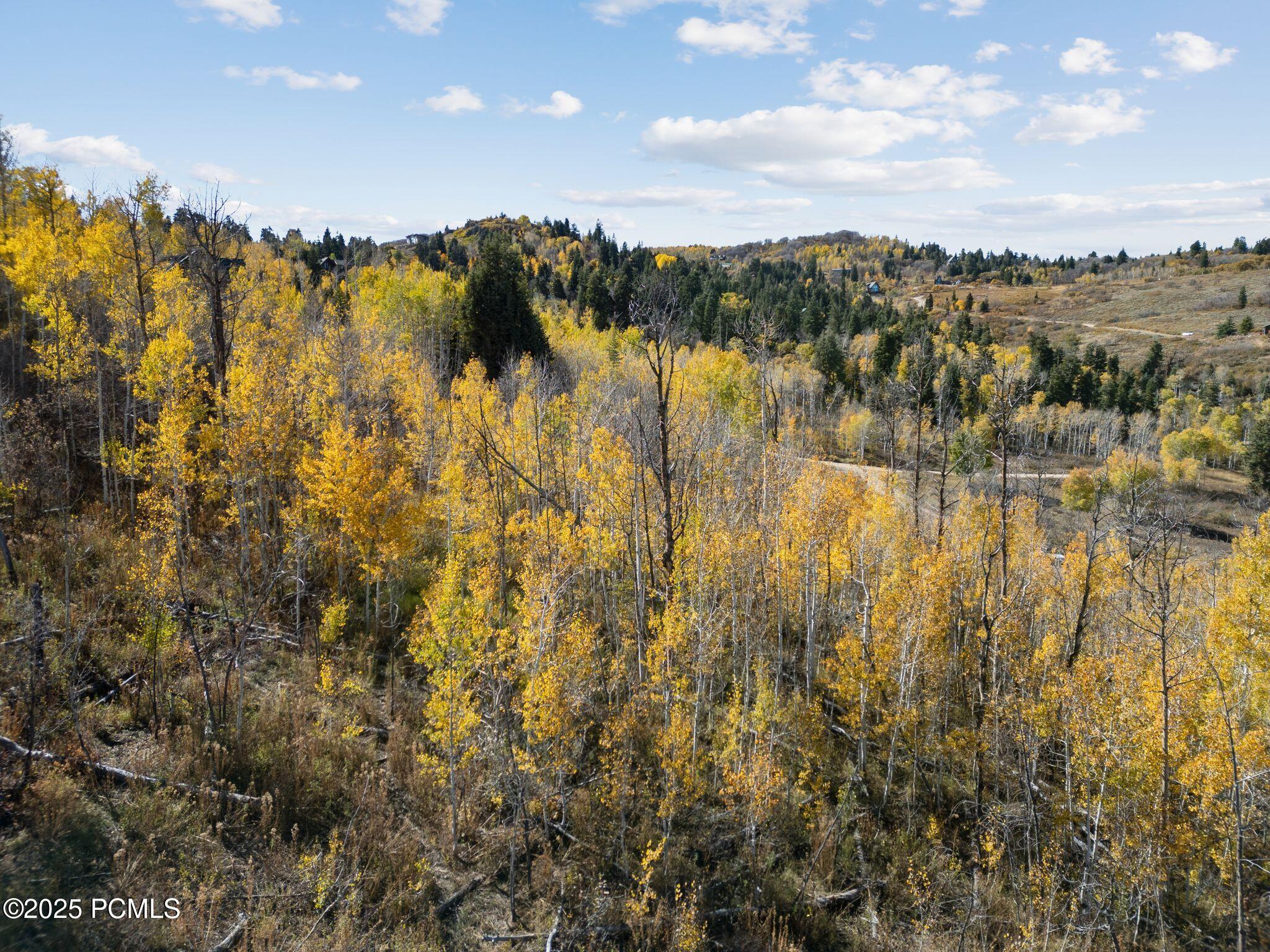 276 West Bear Tooth Ridge Coalville, UT 84017 - Photo 16 of 16