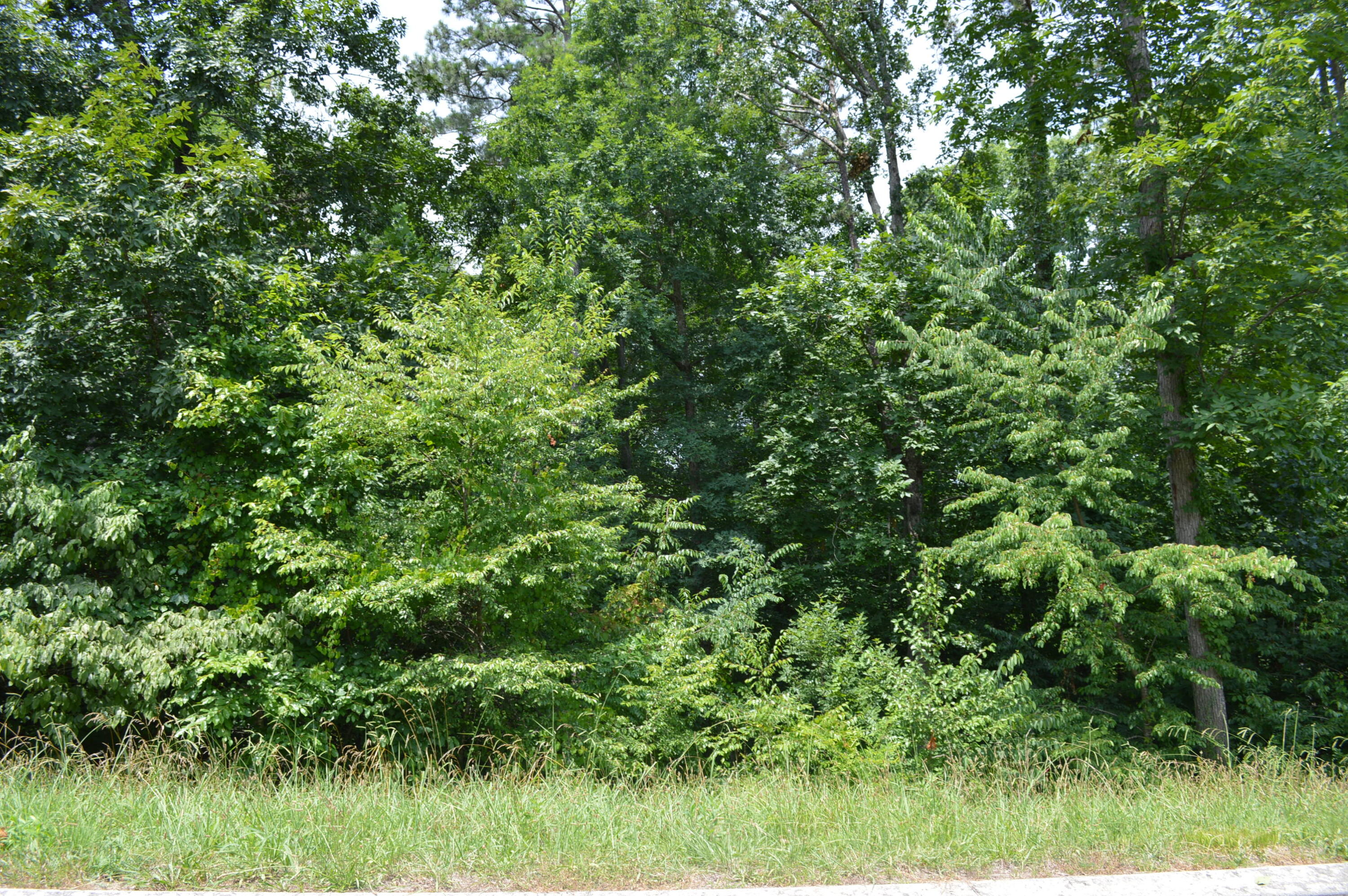 Lot 34 Old Pond Road Cleveland, TN 37323 - Photo 3 of 3 Old Pond 2 (1)